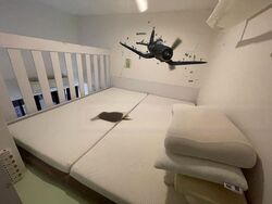 St Patrick's Residences (D15), Apartment #453948931